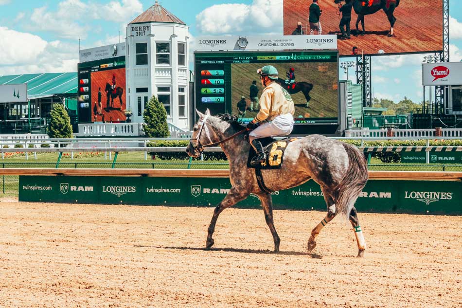 Horse at Churchill Downs in Louisville Kentucky