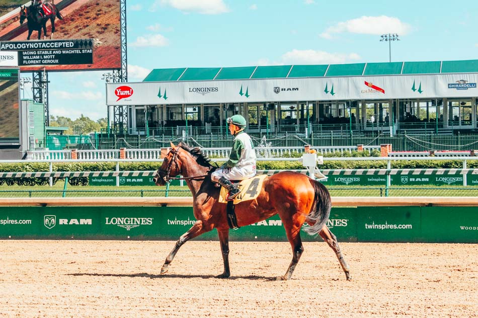 Horse at Churchill Downs in Louisville Kentucky